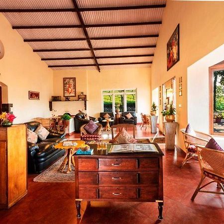 Teanest - Nature Resorts, Coonoor Ooty Exterior foto